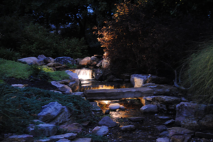 Transform Your Garden into an Oasis