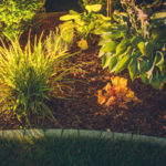 Highlight Trees & Landscaping to Give Your Business a Fresh Look