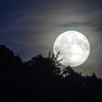 Landscape Moonlighting: Why It's Always in Style