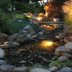 Transform Your Garden into an Oasis Open page