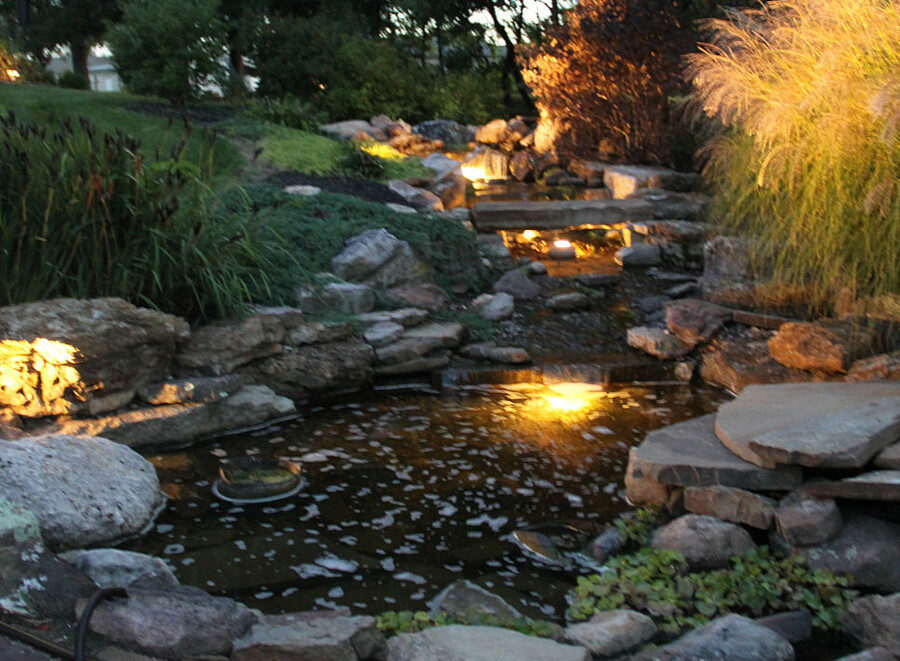 Transform Your Garden into an Oasis